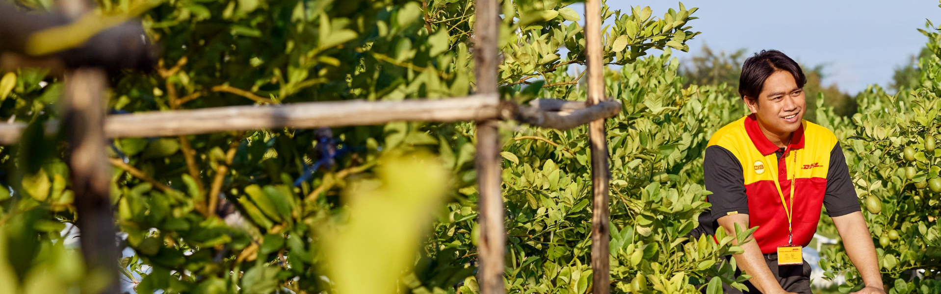 DHL中国官网 - 国际快递追踪服务平台