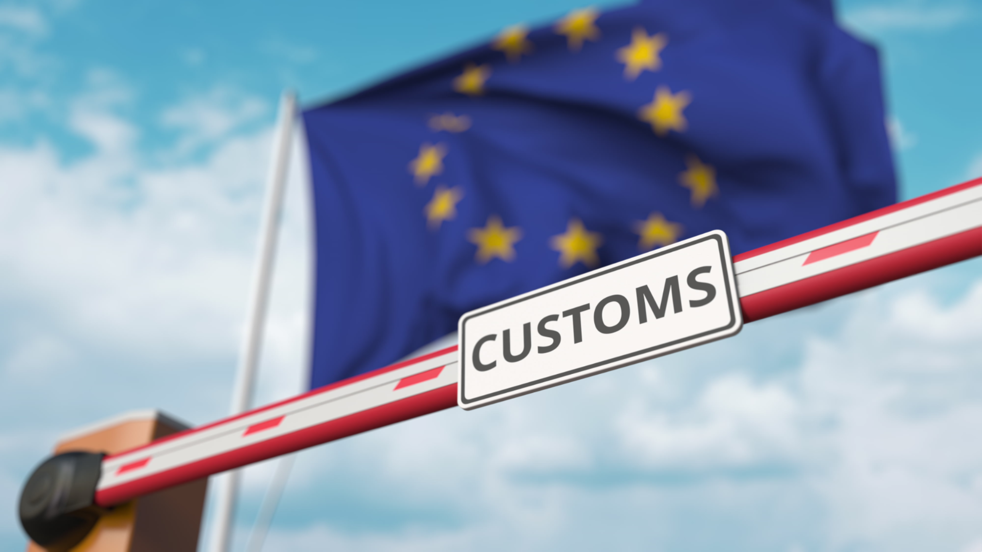 Customs, Rules and Regulations DHL Global
