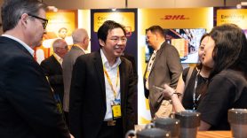 Sector Networking