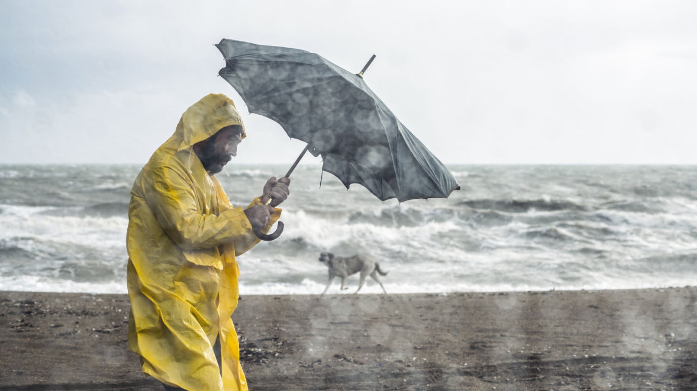 Know which way the wind blows Delivered. Global