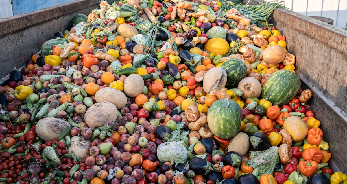 Food Waste Management Delivered Global food-waste-management-delivered-global