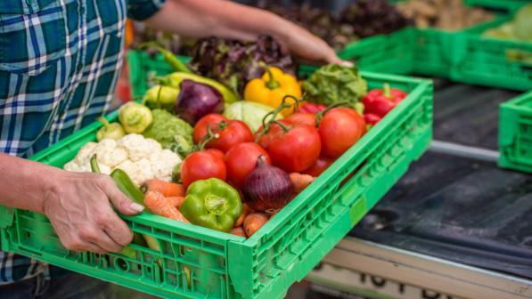 Distribute vegetables