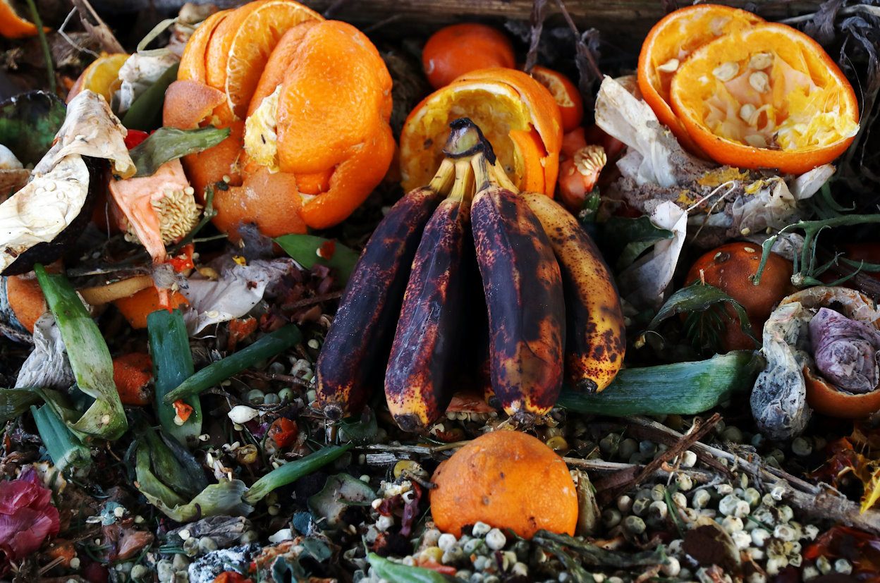 case study on food waste management Spoiled food