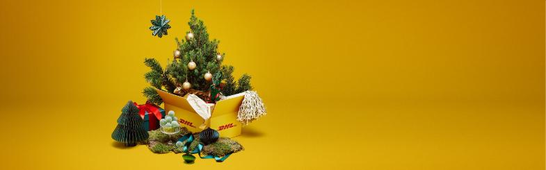 Privatkund  DHL Parcel  Sverige