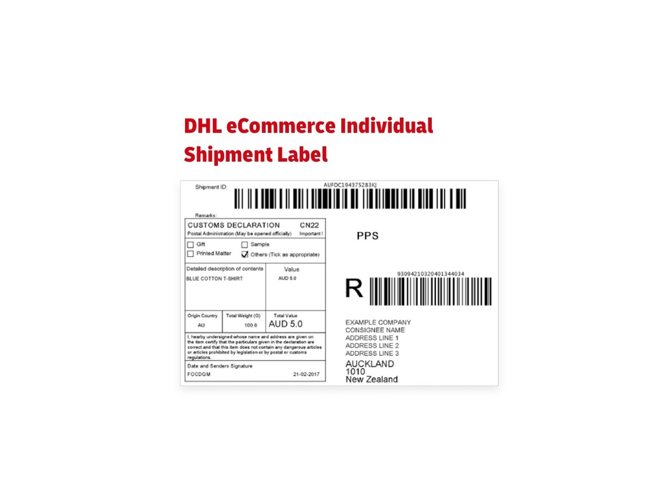 Example of an DHL eCommerce Individual Shipment Label