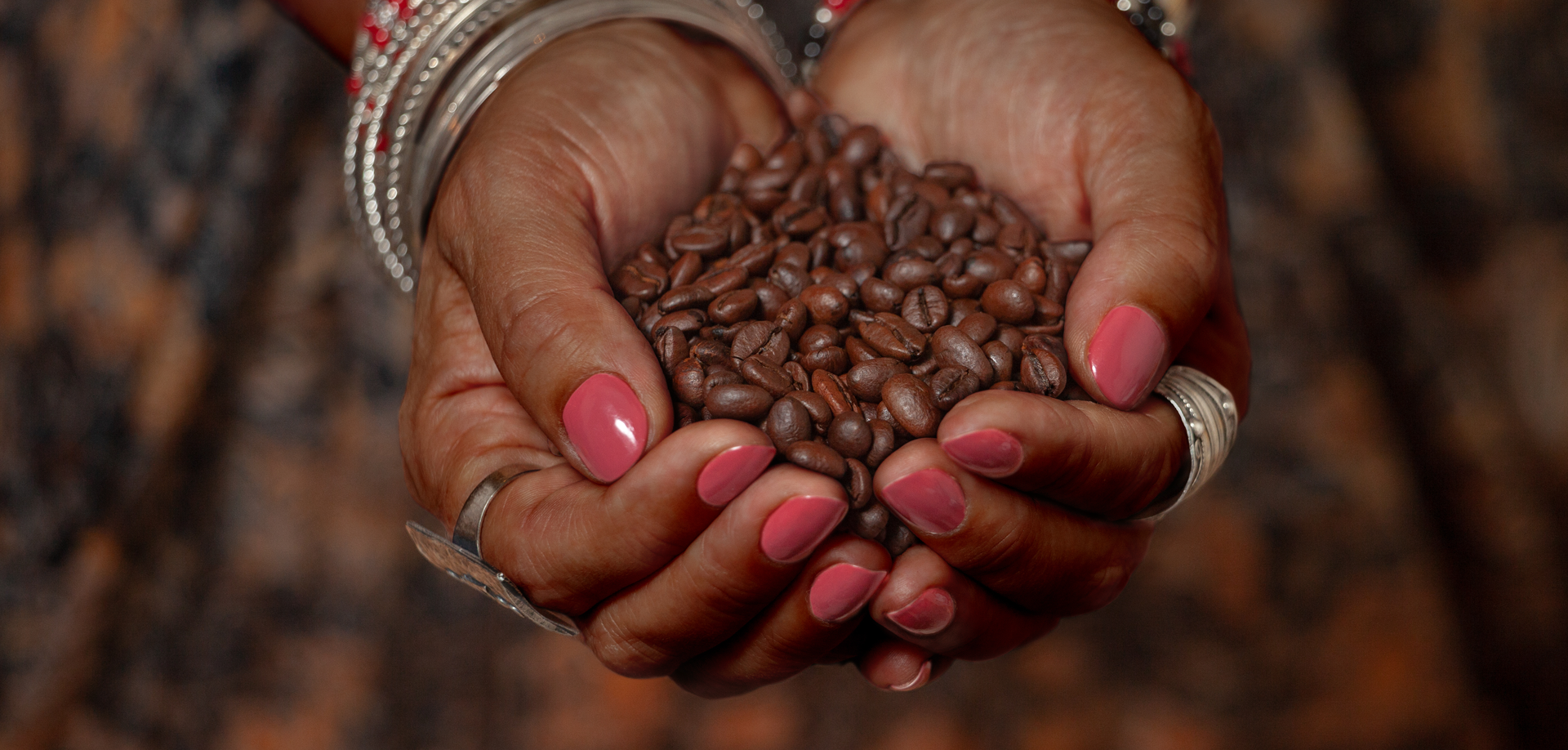 Brown feminine hands in traditional jewelery hold a handful of coffee beans