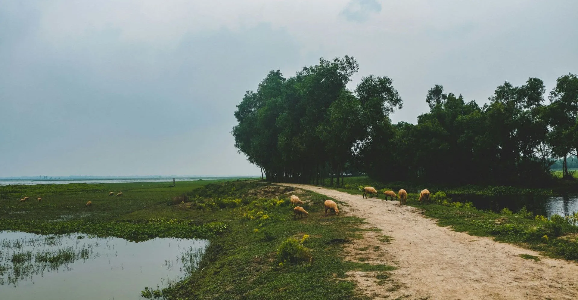 A single track road surrounded by water