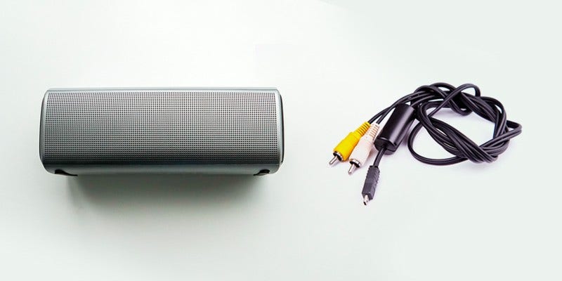Speaker and input cable