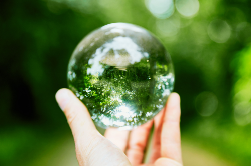 切り開く未来をイメージしたガラス球体に見える一面のグリーン