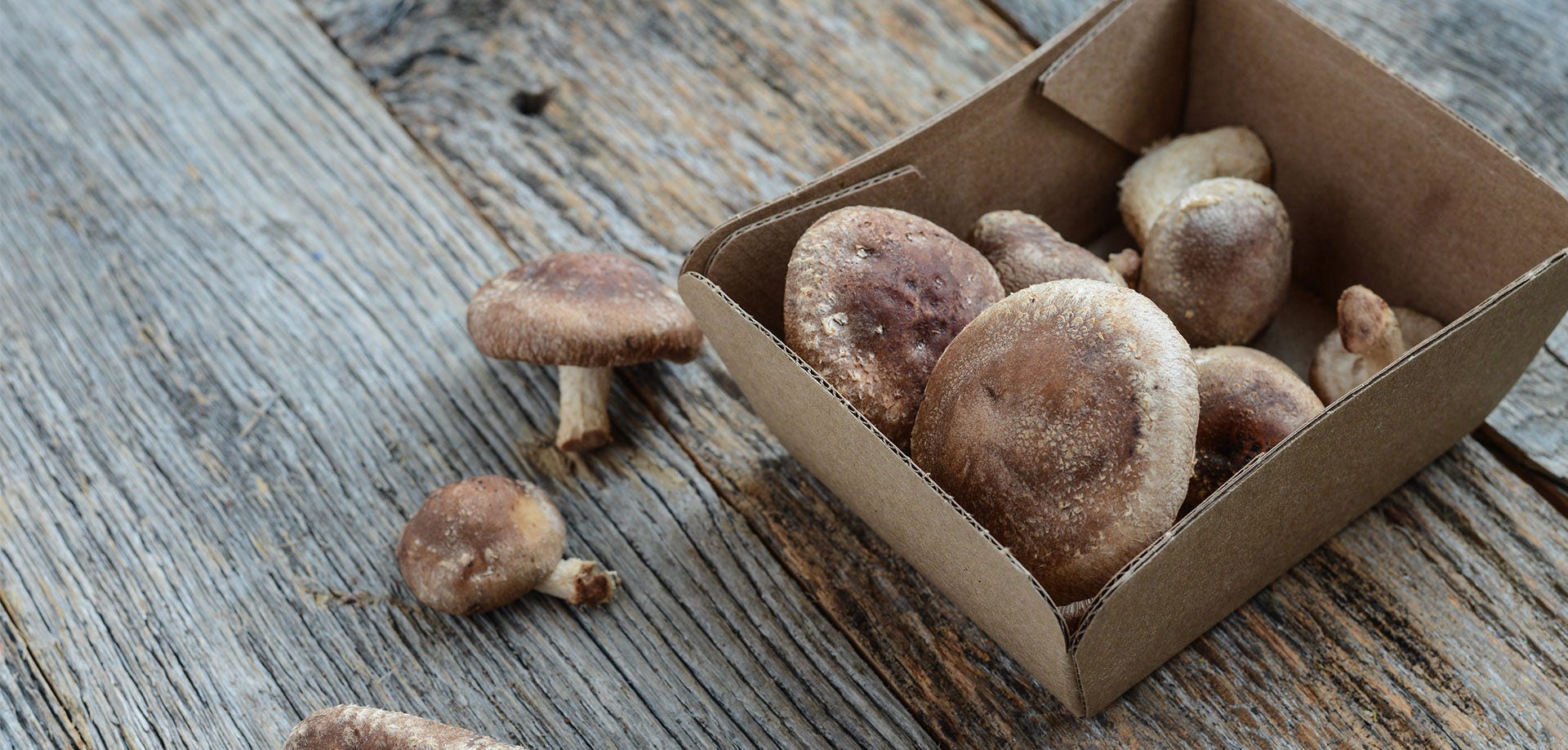 mushrooms in a brown box