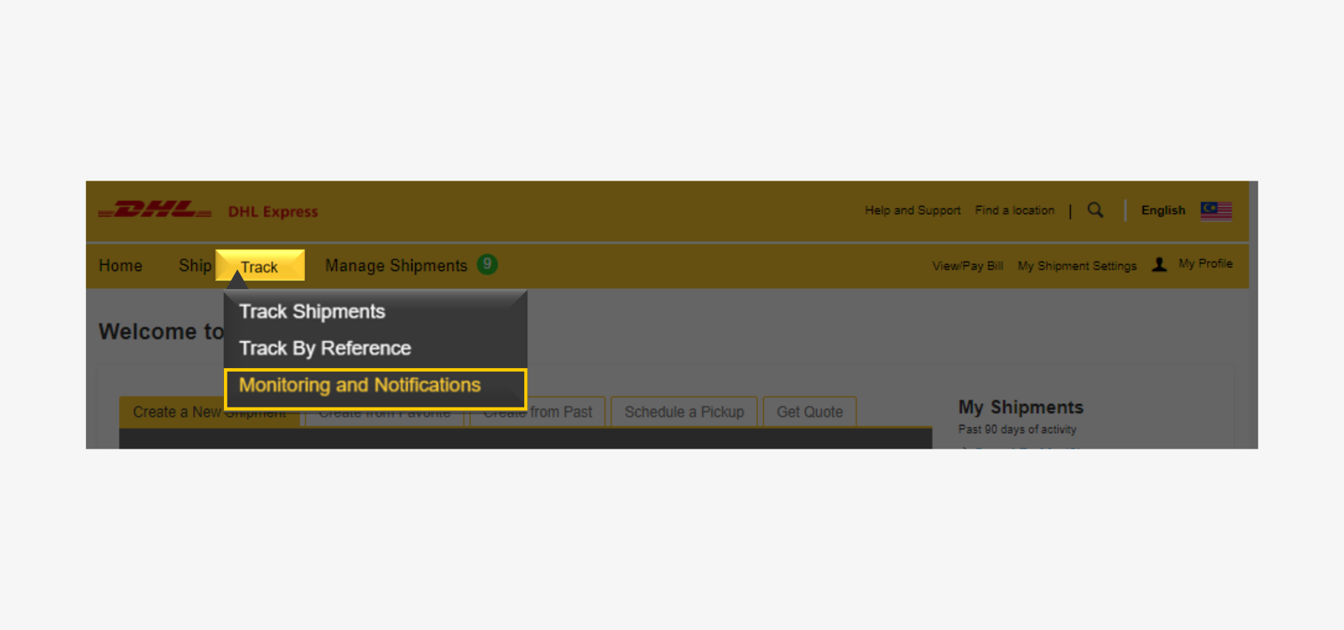 DHL Proview Track And Monitor
