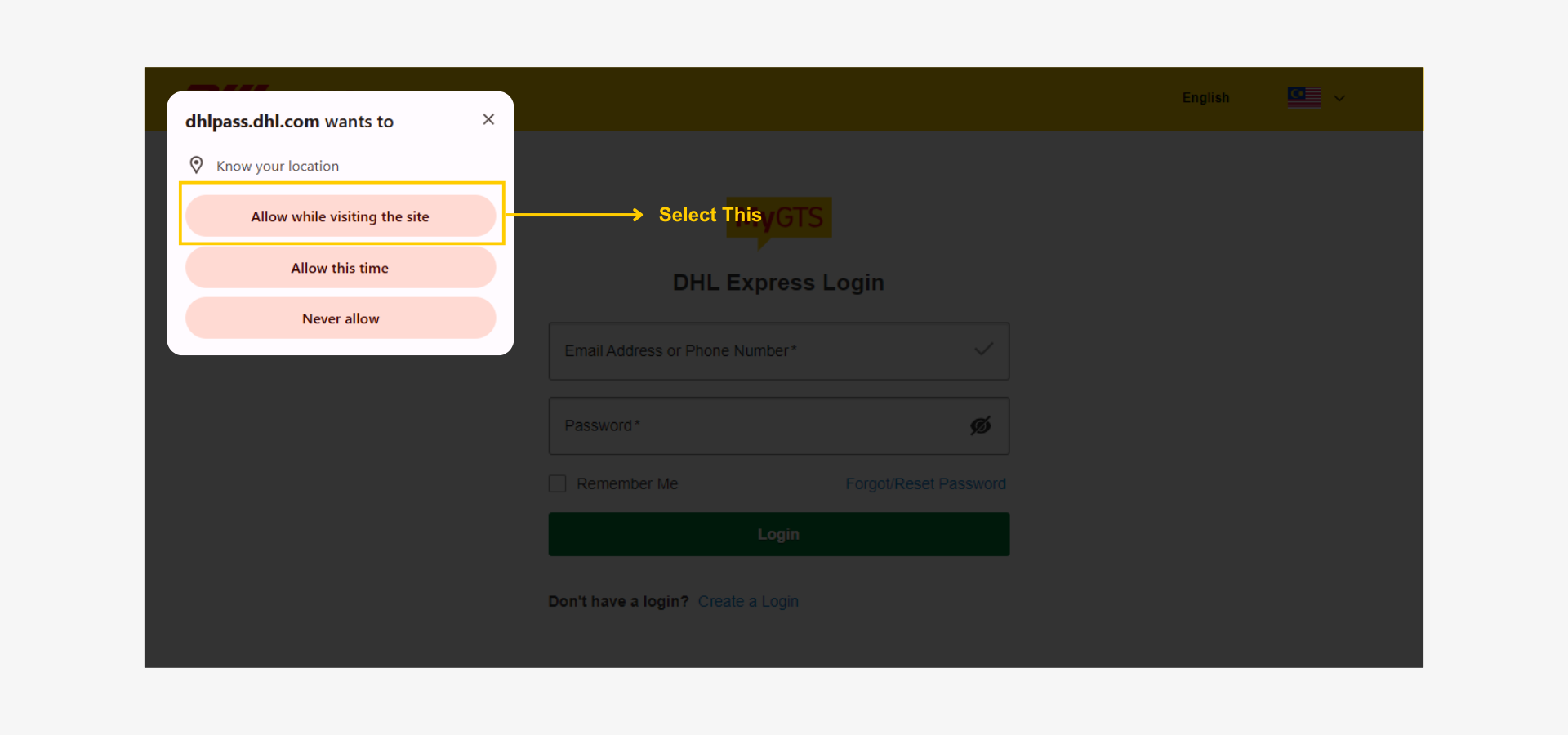 Step by Step: Reset Password - Password Reset Guide-dhlpass prompt