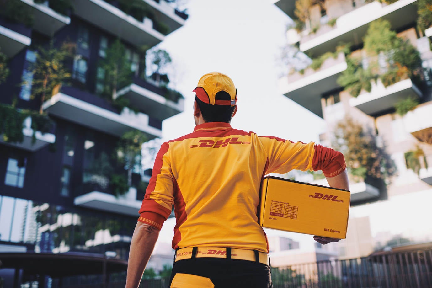 Default Article Image