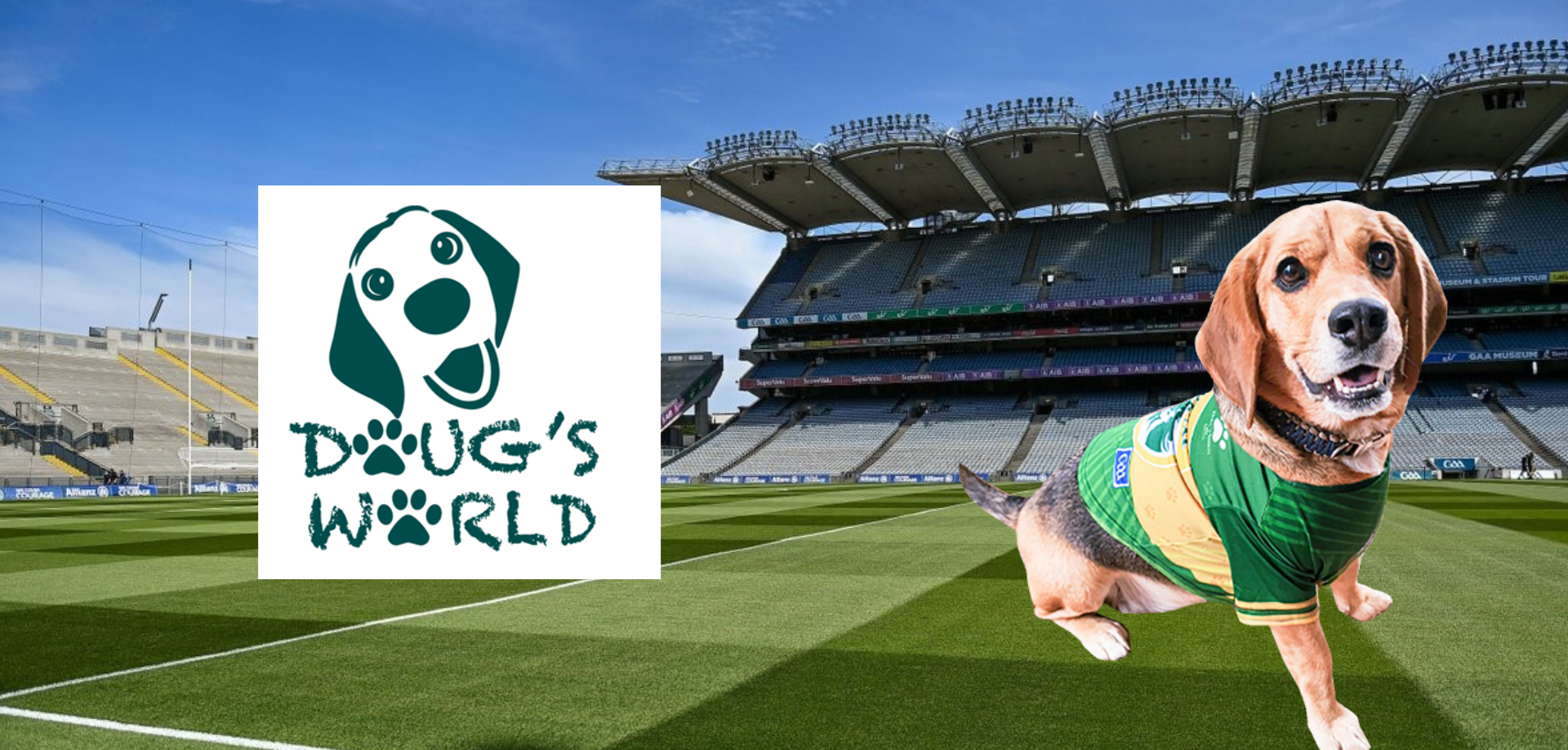 Discover 1920 x 918 desktop - 1