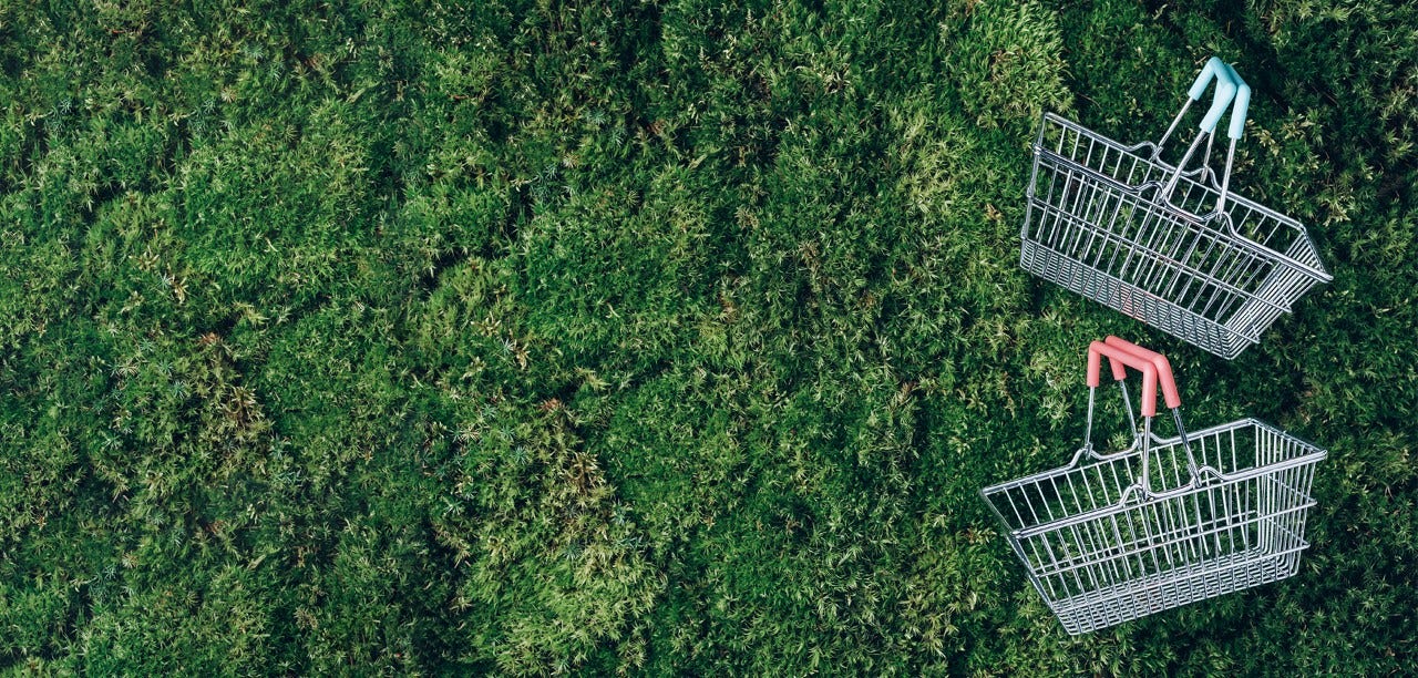 two shopping baskets on grass