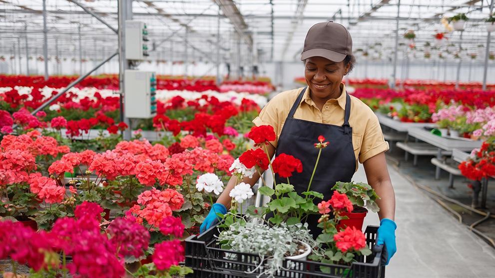 How Cold Chain Logistics Protect Kenyan Fresh Produce
