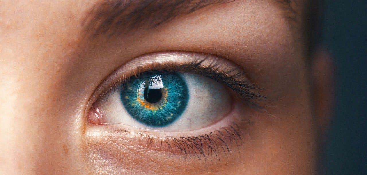 Picture of one eye