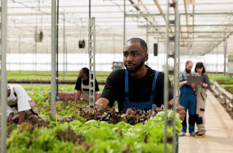 How South African Farmers Can Go Global with DHL AgriExpress