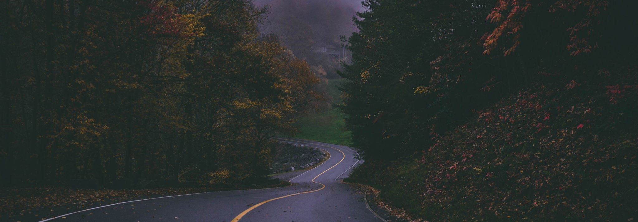 long road in the dark
