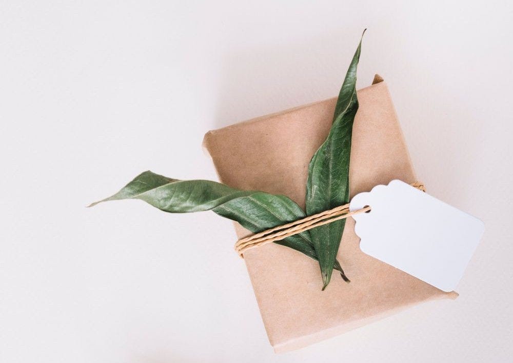 brown-wrapped-gift-box-with-blank-tag-green-leaves-white-background