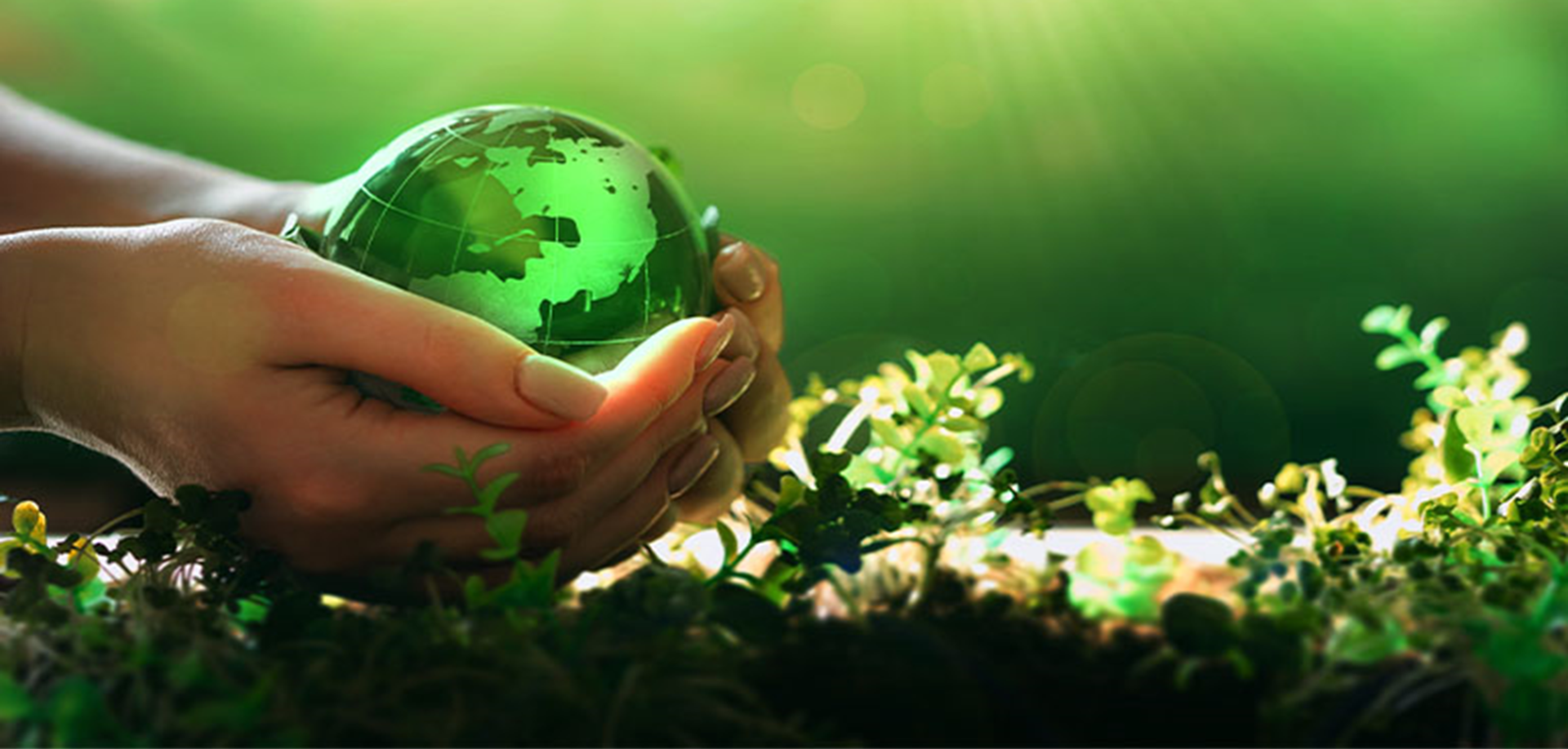 GoGreen 24 article (1920 x 918 px) - 1