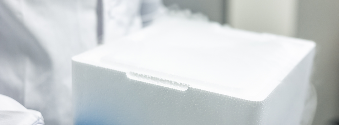 Close-up of a scientist in protective clothing and gloves transporting a styrofoam box with frozen biological samples in a controlled laboratory environment