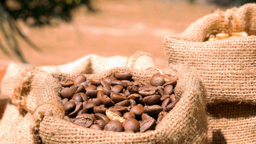 Shea Nuts in Nigeria