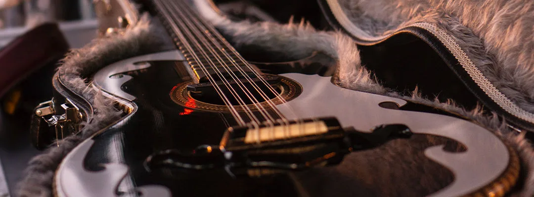 guitar in case