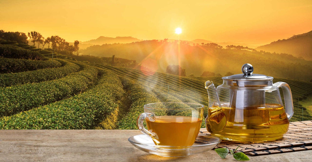 Tea cup and glass jars with leaf on the wooden table in the tea plantations background; Shutterstock ID 671131873; Purchase Order: -