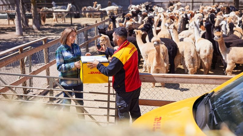 dhl express worker handing over temperature sensitive package containing animal food to a lady