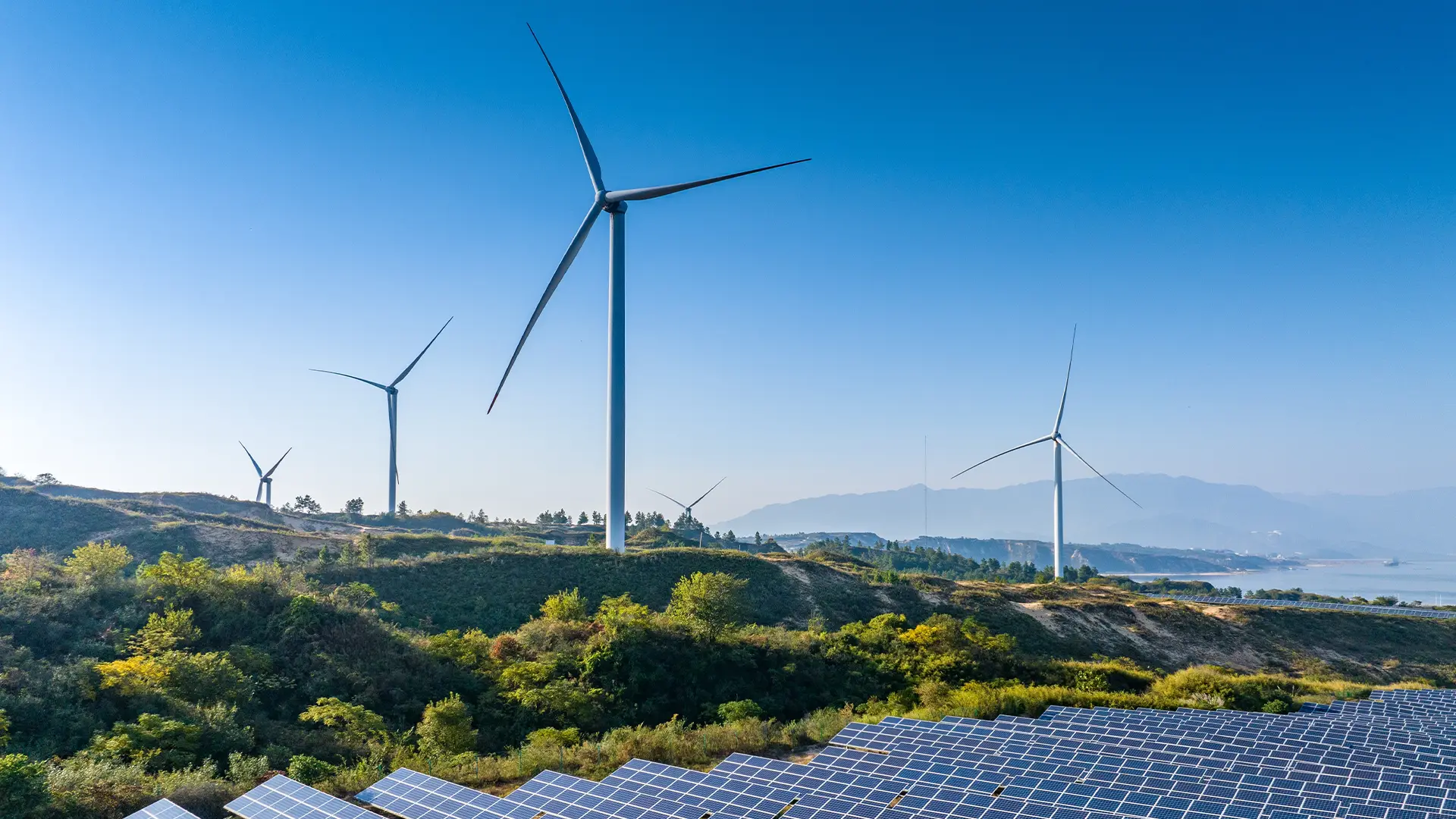 windfarm
