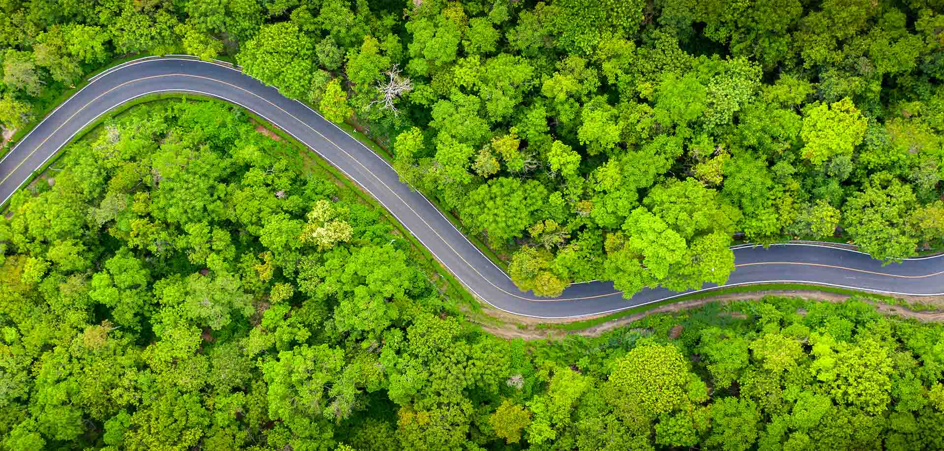 aerial view of a road