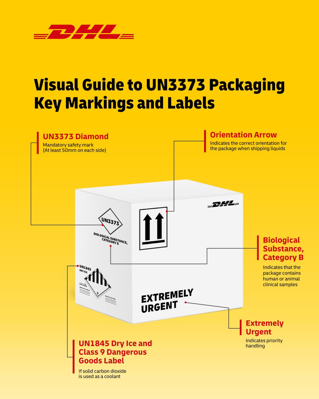 UN3373 Category B Shipping Guide (2026) | DHL Express Singapore