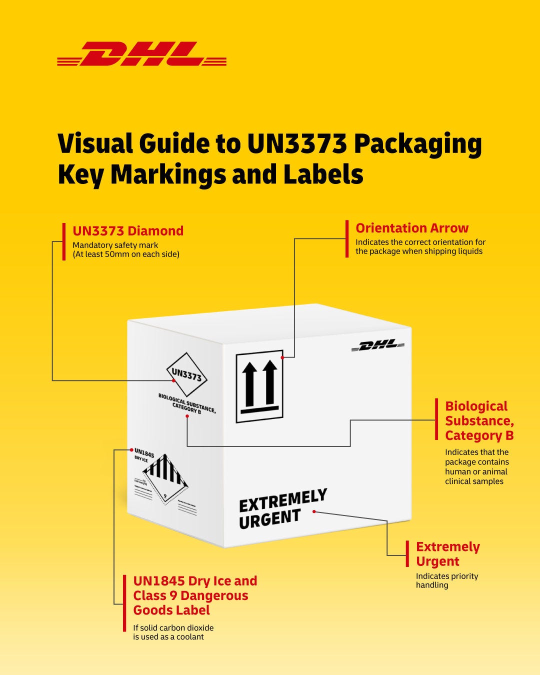 Visual Guide to UN3373 Packaging Key Markings and Labels