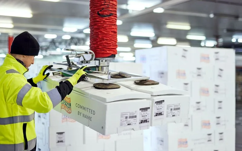 worker handling cold chain shipping logistics for food exports