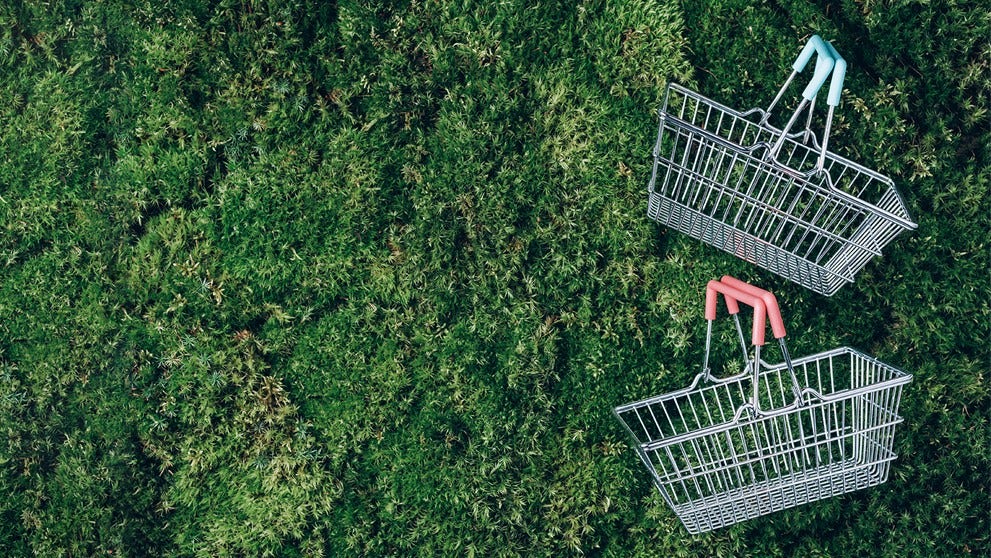 two shopping baskets on grass