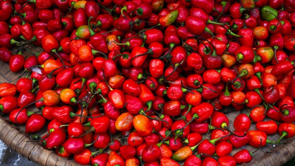 Top down shot of a basket of Sri Lankan peppers