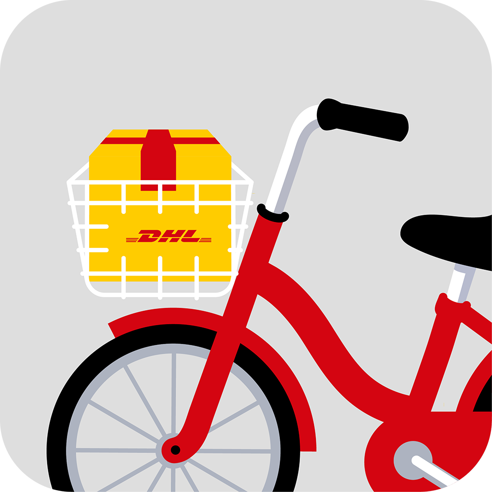 leave in bicycle basket