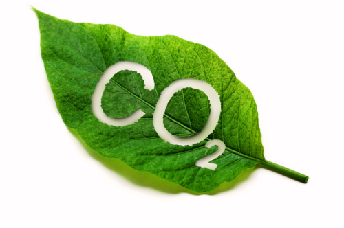 脱炭素をイメージしたグリーンの葉とCO2の文字