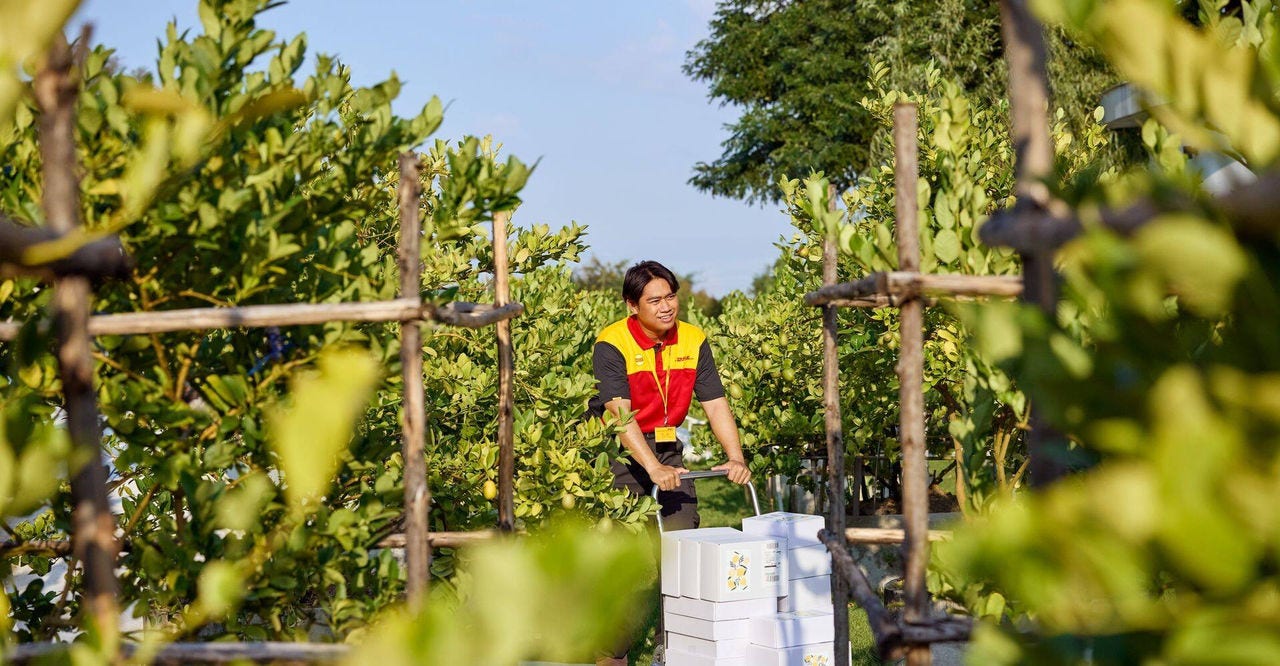 dhl express employee collecting parcels for export from an agricultural farm in Cambodia