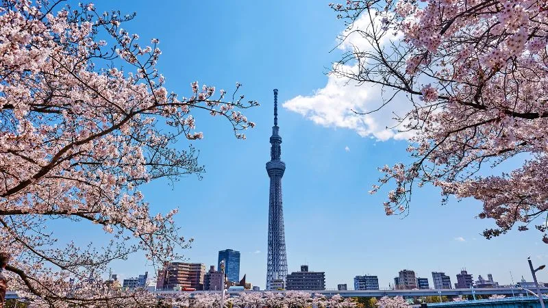 tokyo skytree