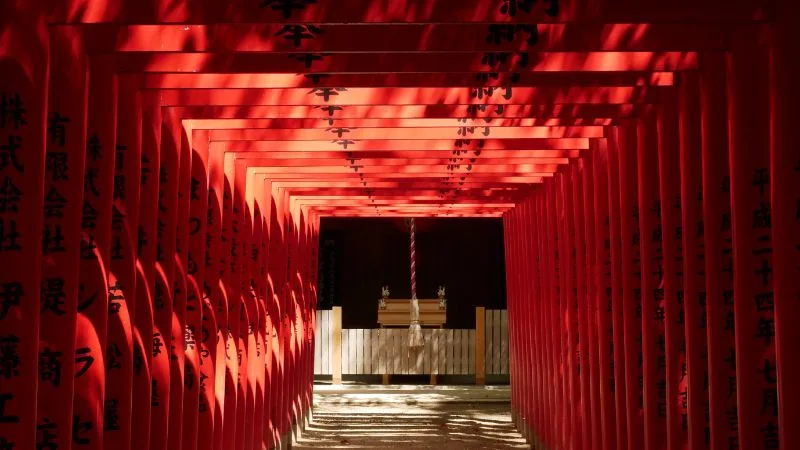 torii gates in japan