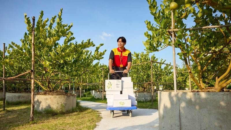 A DHL Express employee with customer parcels on a trolley