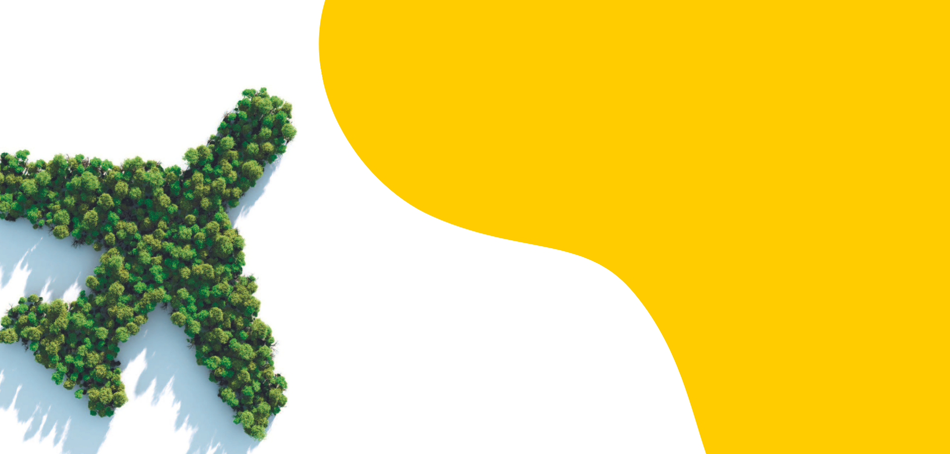 GoGreen_Top_pc