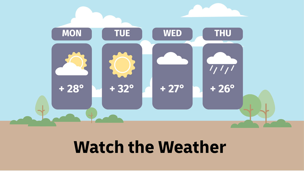 Watch the Weather