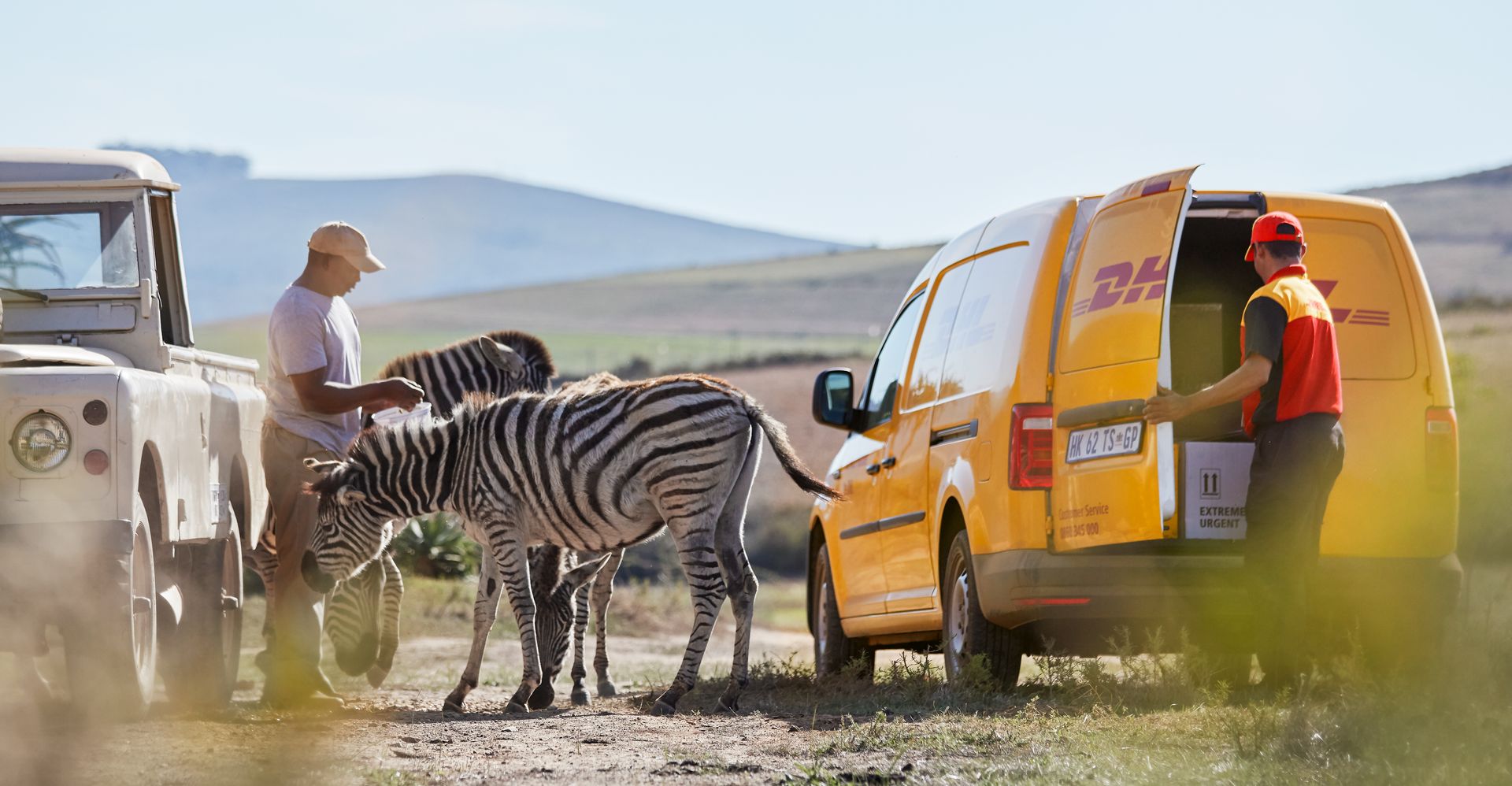 Navigating the Logistics of Wildlife Care
