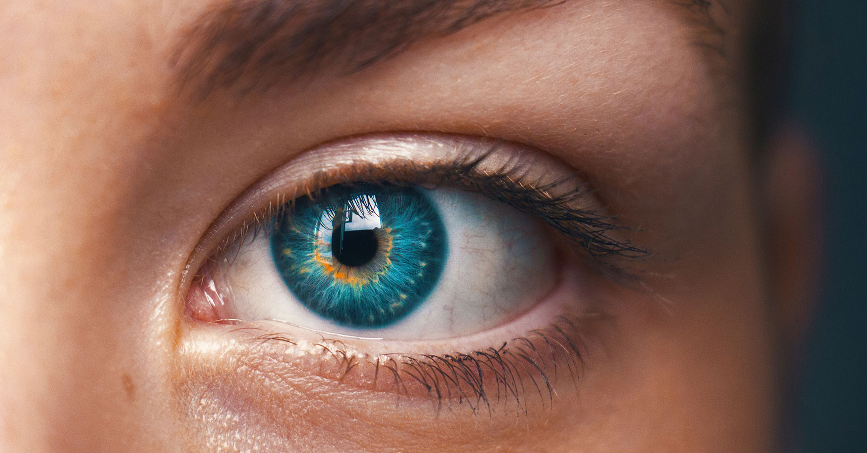 Picture of one eye