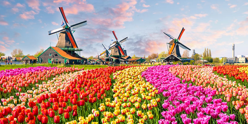 DUTCH SHOPPERS ARE THE MOST DEMANDING