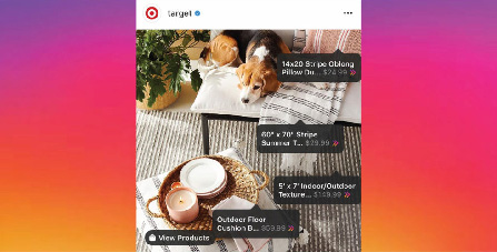 Targeting the Insta generation