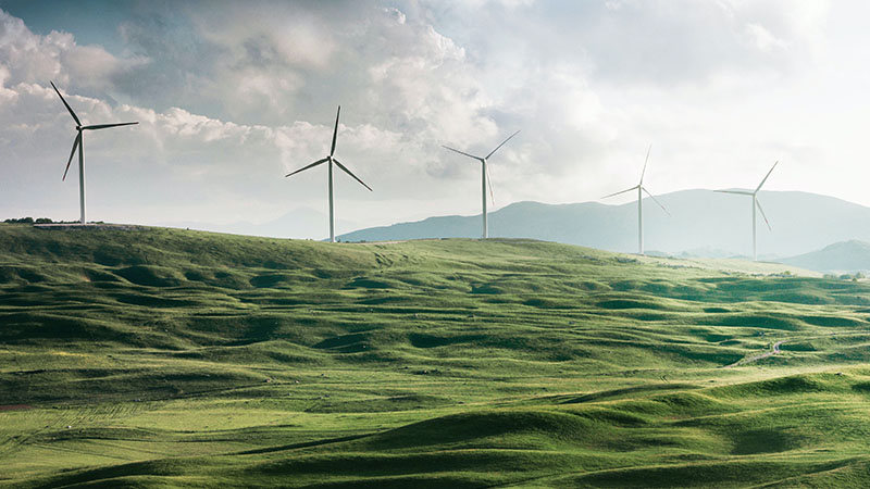 Take a moment to reflect this Earth Day